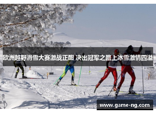 欧洲越野滑雪大赛激战正酣 决出冠军之路上冰雪激情四溢